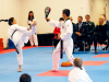 Steigen: Taekwondo